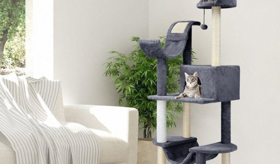 Der Finether Katzenbaum – Solider Kletterbaum zum günstigen Preis